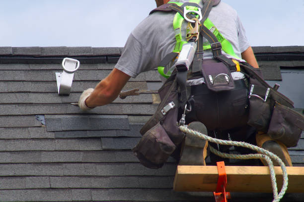 Best Roof Replacement Cost  in Shawneeland, VA