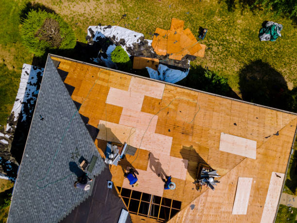 Best Local Roofing Companies  in Shawneeland, VA